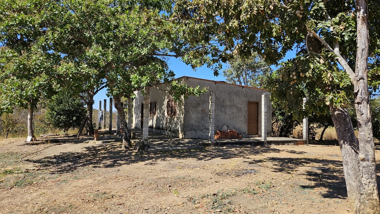 Imagem Fazenda à Venda, 291 m²em rural - Padre Bernardo