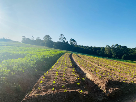 Terreno em Condomínio à Venda, 1.000 m² em verava - Ibiúna