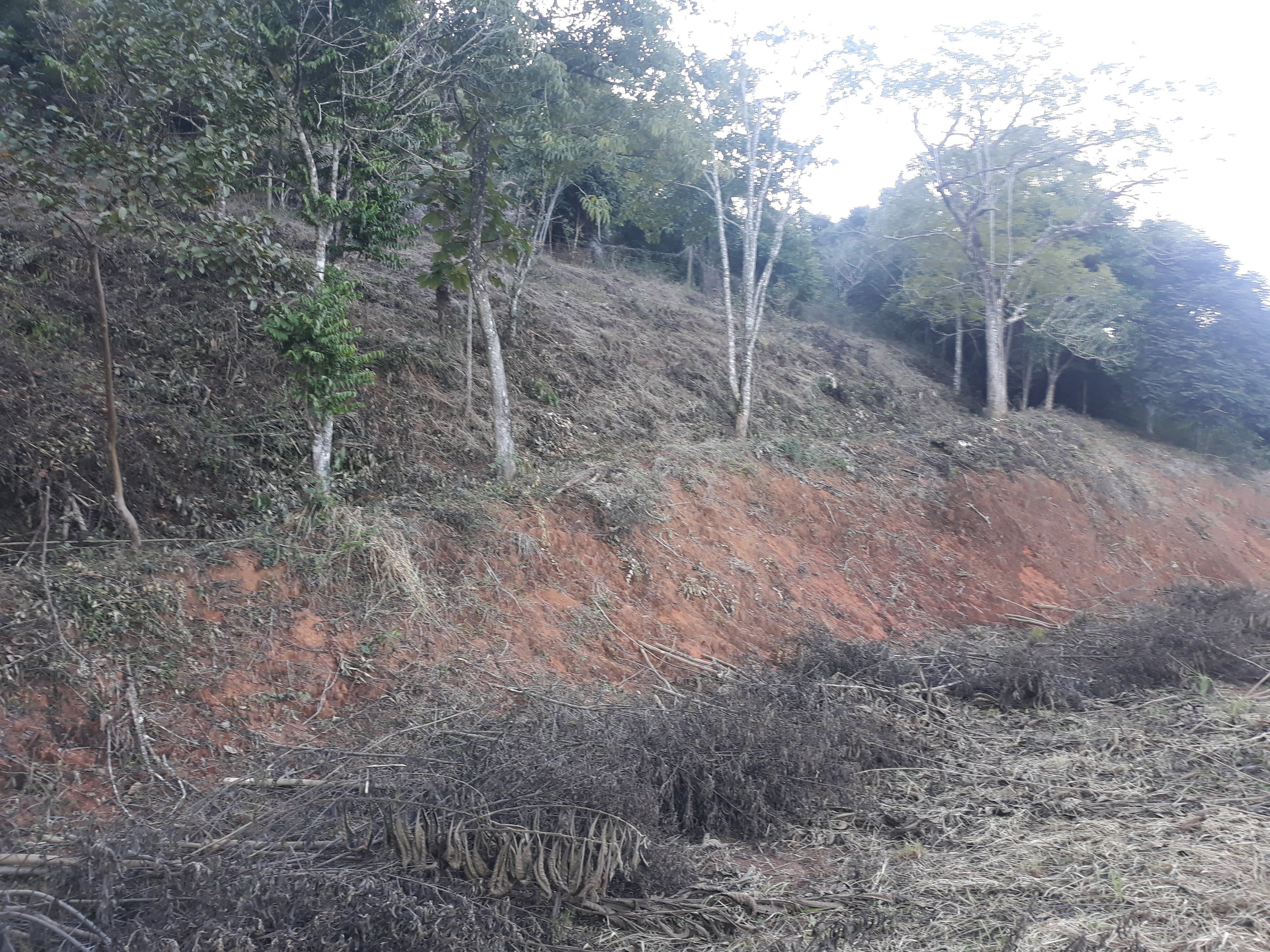 Imagem Terreno à Venda, em Torreões - Juiz de Fora