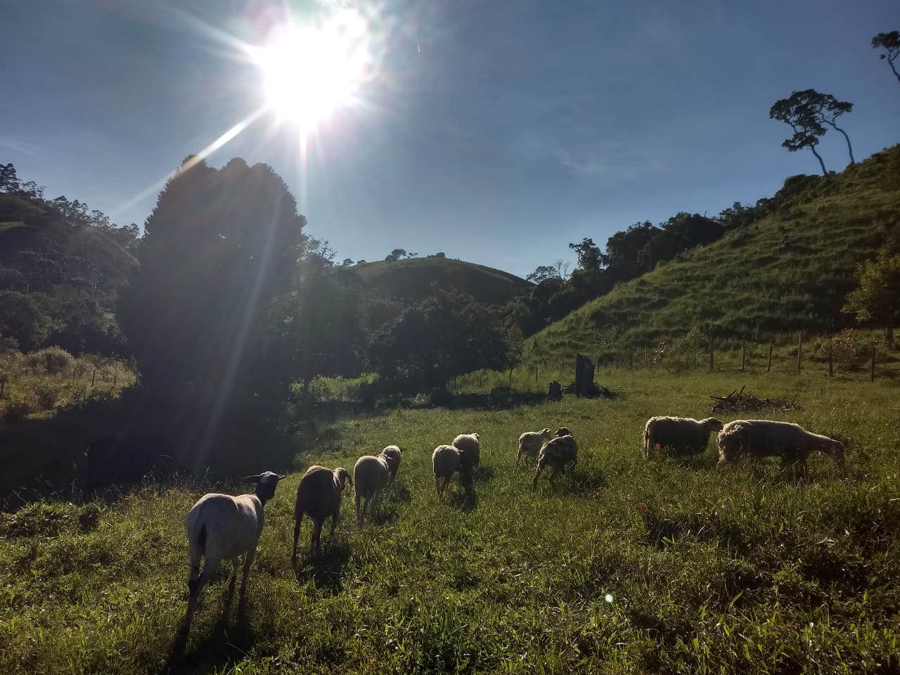 Imagem Imóvel com 3 Quartos à Venda, 629 m²em Campos Novos - Cunha