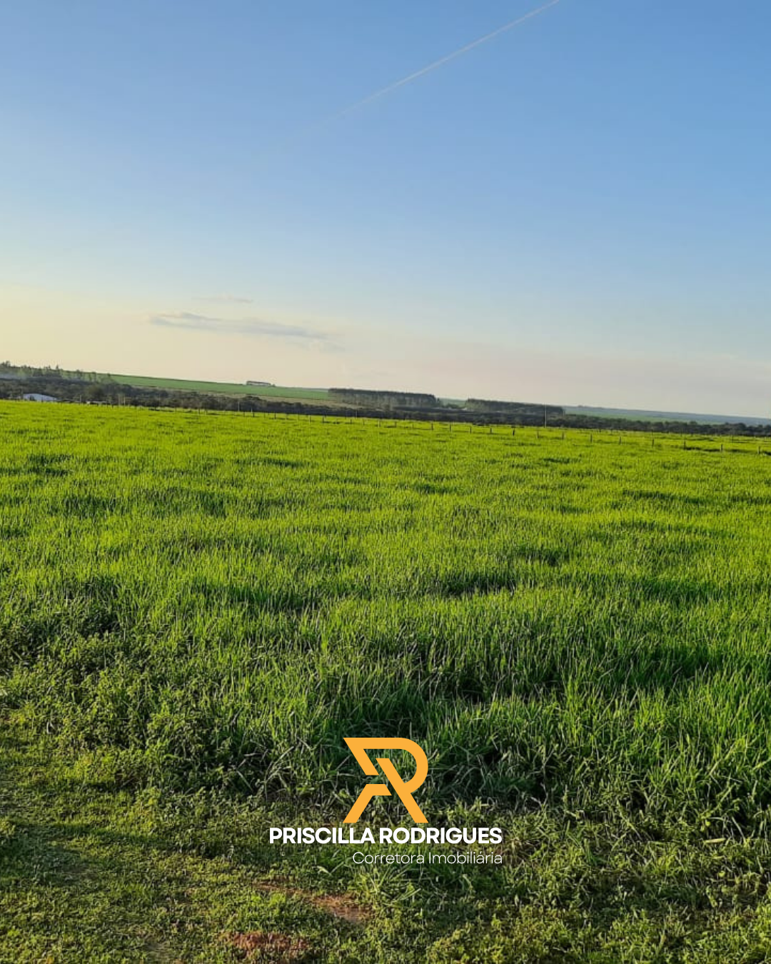 Imagem Fazenda à Venda, 10 HA em  - 