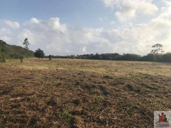 Terreno à Venda, 50.000 m² em Aldeia dos Camarás - Camaragibe