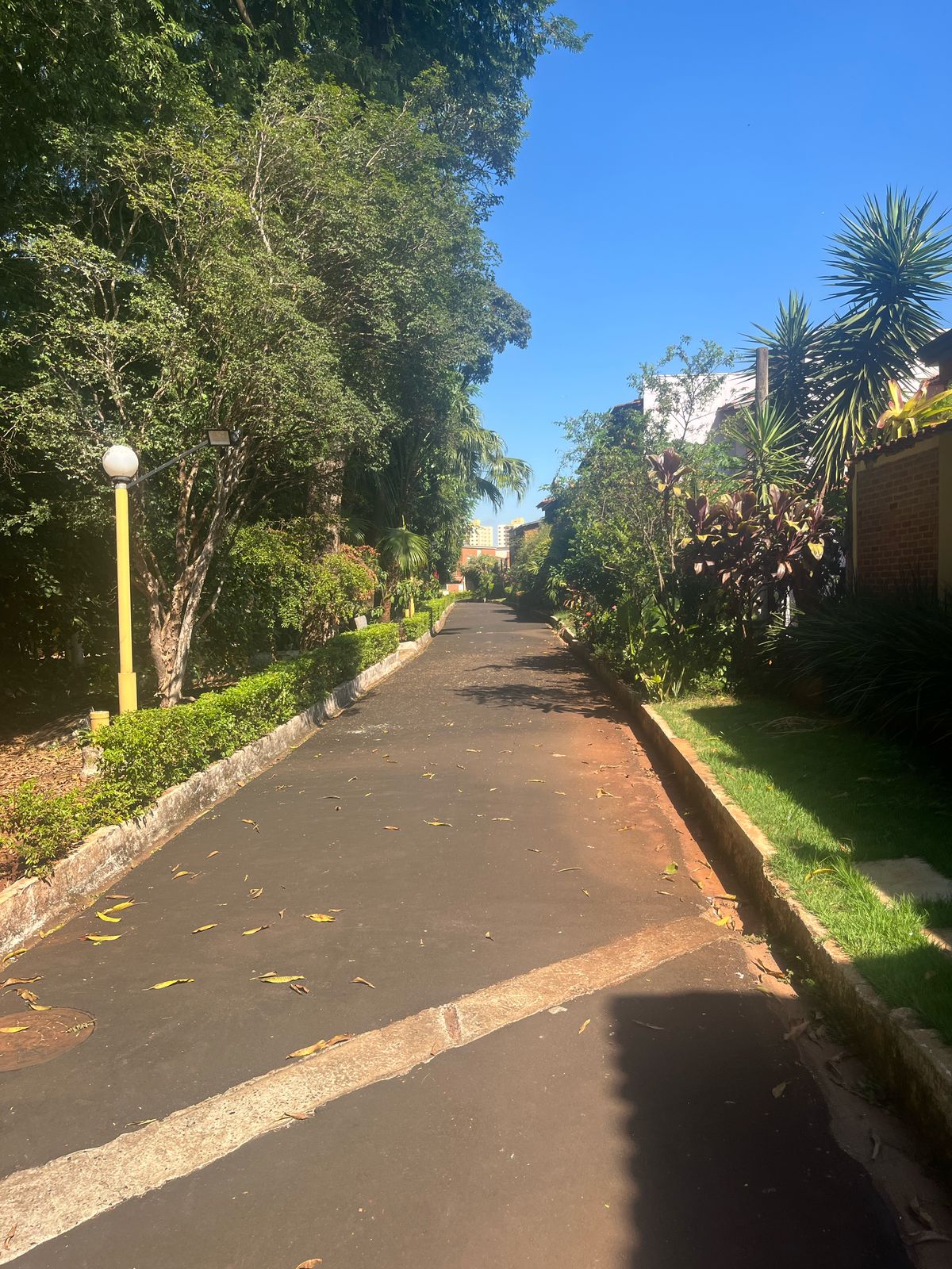 Imagem Casa de Condomínio com 4 Quartos à Venda, 133 m² em Independência - Ribeirão Preto