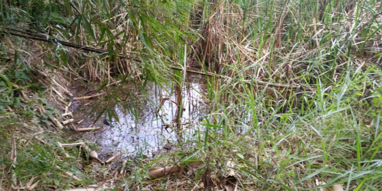 Imagem Chácara com 1 Quarto à Venda, 2.600 m² em Centro - Santa Isabel
