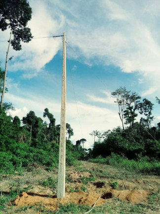 Imagem Fazenda à Venda, 837 HA em Área Rural de Santarém - Santarém
