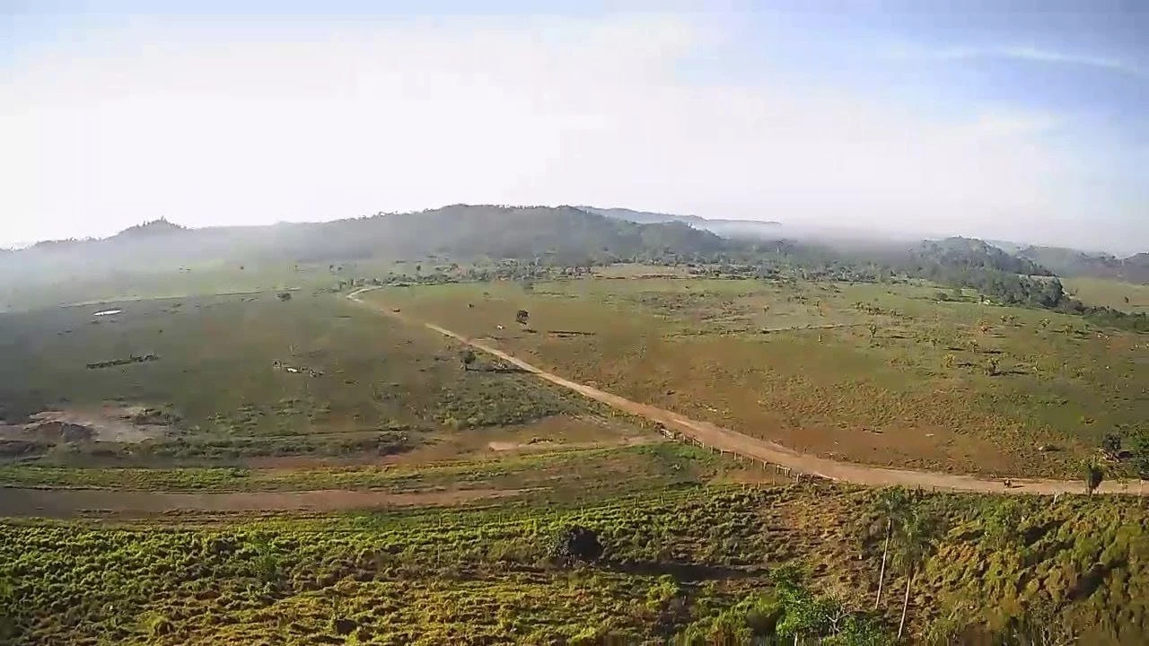 Foto do imóvel: Fazenda à Venda, 831 Alq. GO em Gurupá - Gurupá