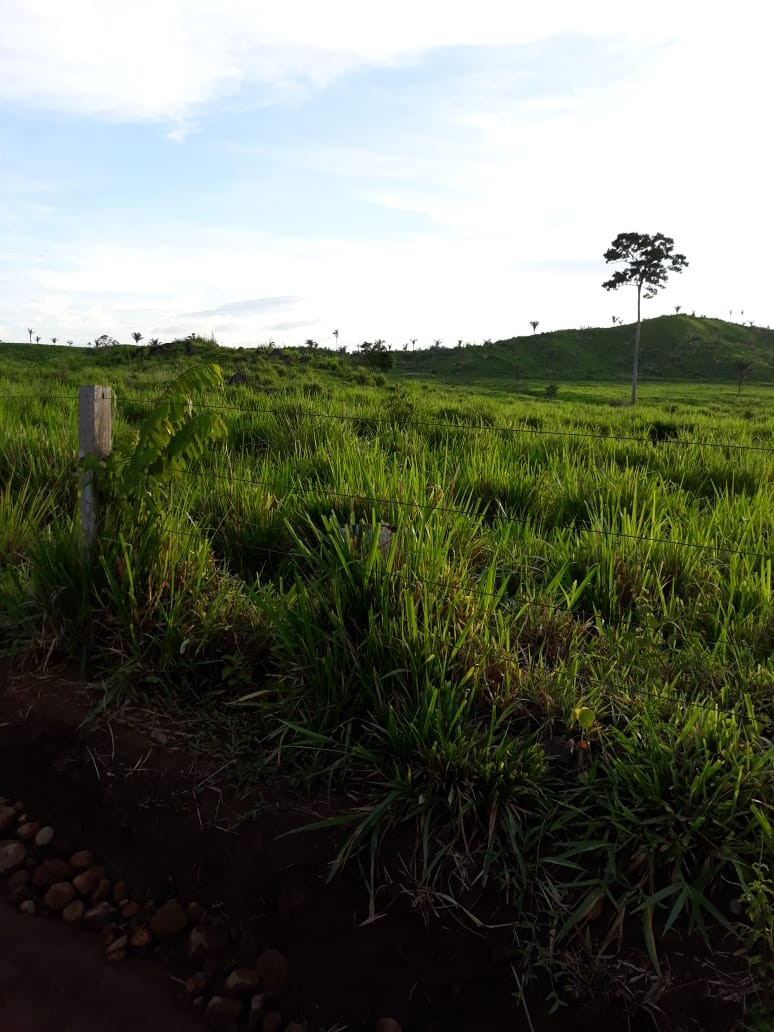 Foto do imóvel: Fazenda à Venda, 9.399 m² em Centro  - São Félix do Xingu