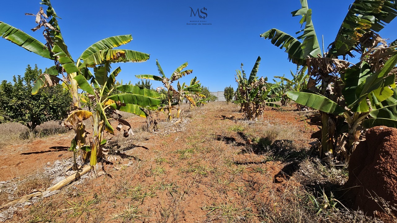 Imagem Terreno à Venda, 5000 m² em Zona de Dinamização (Santa Maria) - Brasília
