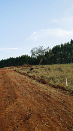 Imagem Terreno em Condomínio à Venda, 1.000 m² em Paruru - Ibiúna