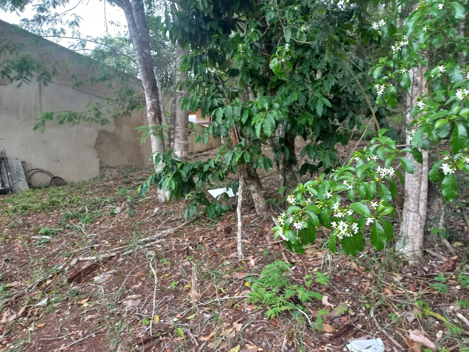 Imagem Terreno em Condomínio à Venda, 360 m² em Rio do Ouro - Niterói