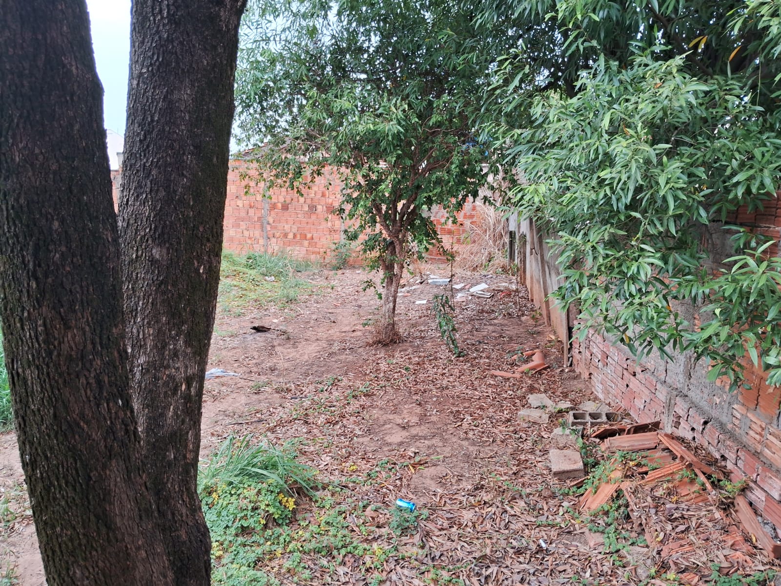 Imagem Casa com 4 Quartos à Venda, 192 m² em Parque Vista Alegre - Bauru