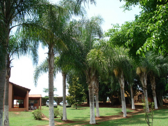 Imagem Chácara com 1 Quarto à Venda, 200 m² em Cercado - Araçoiaba da Serra