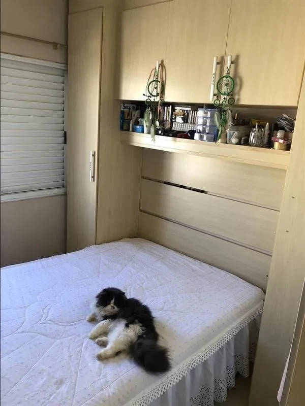 Imagem Casa de Condomínio com 3 Quartos à Venda, 76 m² em Vila Curuçá - São Paulo