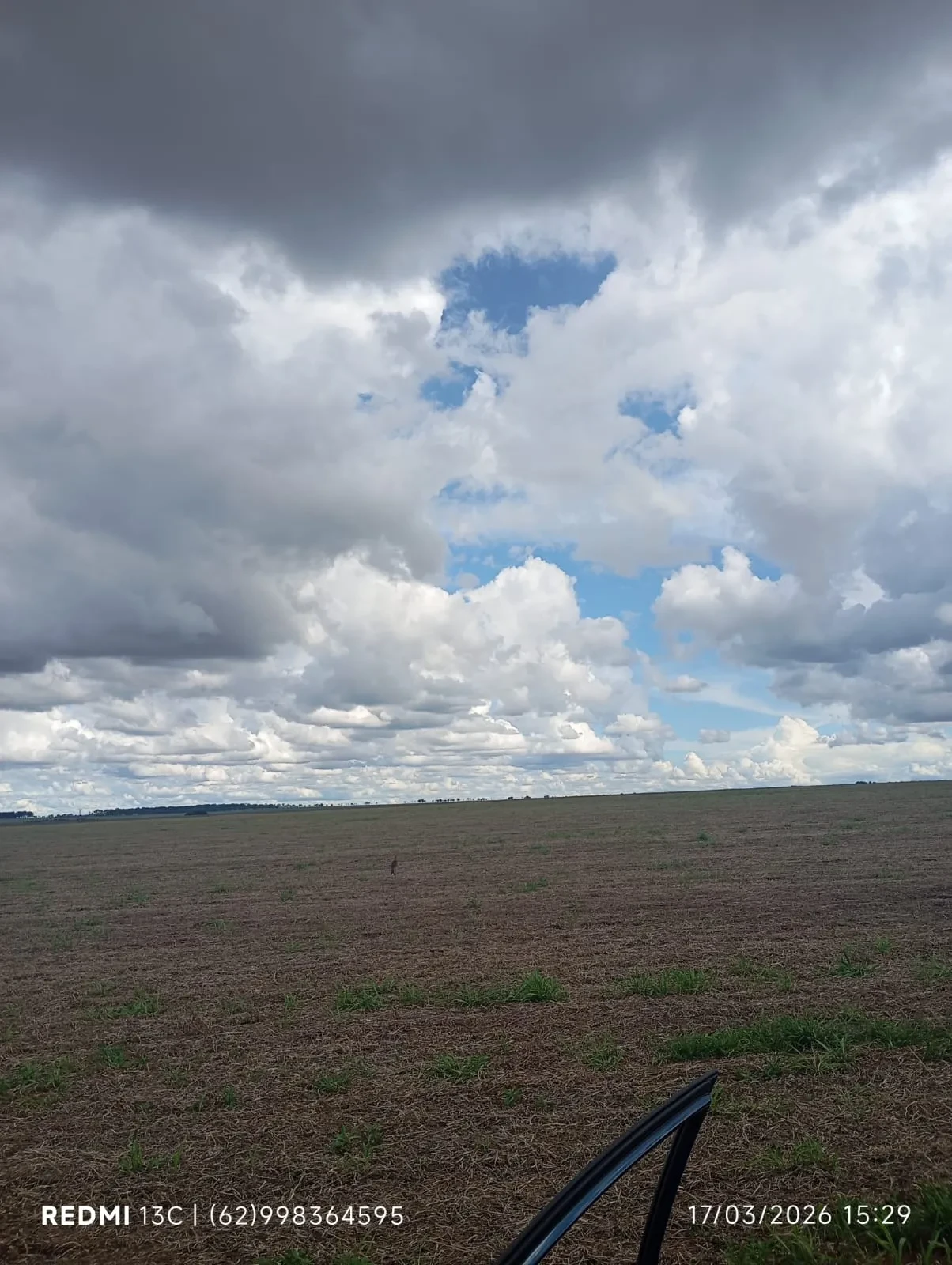 Fazenda à Venda, 50 Alq. GO em Montividiu - Montividiu