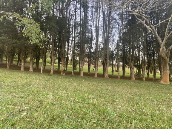 Imagem Terreno em Condomínio à Venda, 500 m² em DONA CATARINA - Mairinque