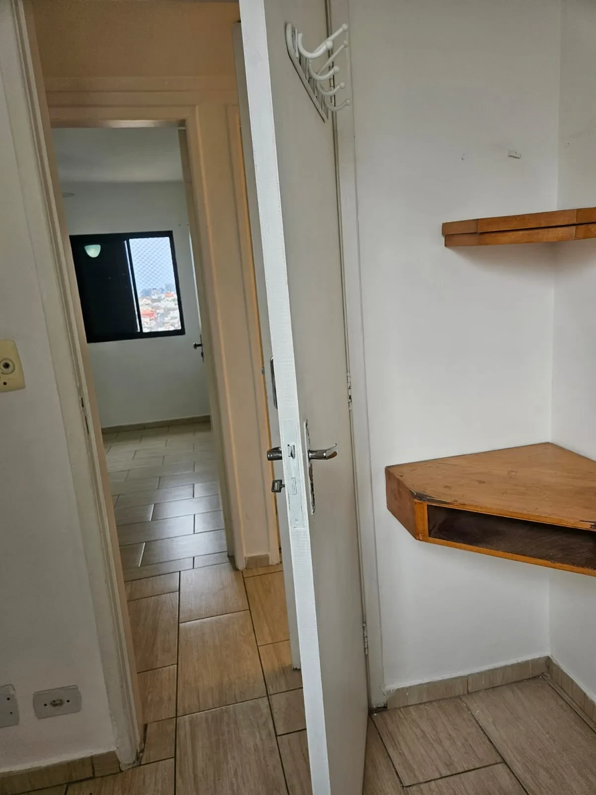 Imagem Apartamento com 3 Quartos para Alugar, 61 m² em Vila Santa Catarina - São Paulo