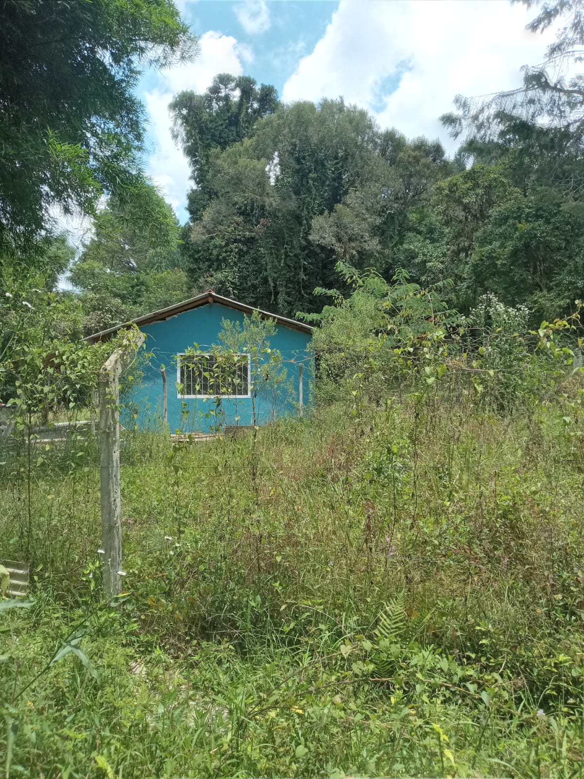 Foto do imóvel: Terreno à Venda, 19.965 m² em Itália - São José dos Pinhais