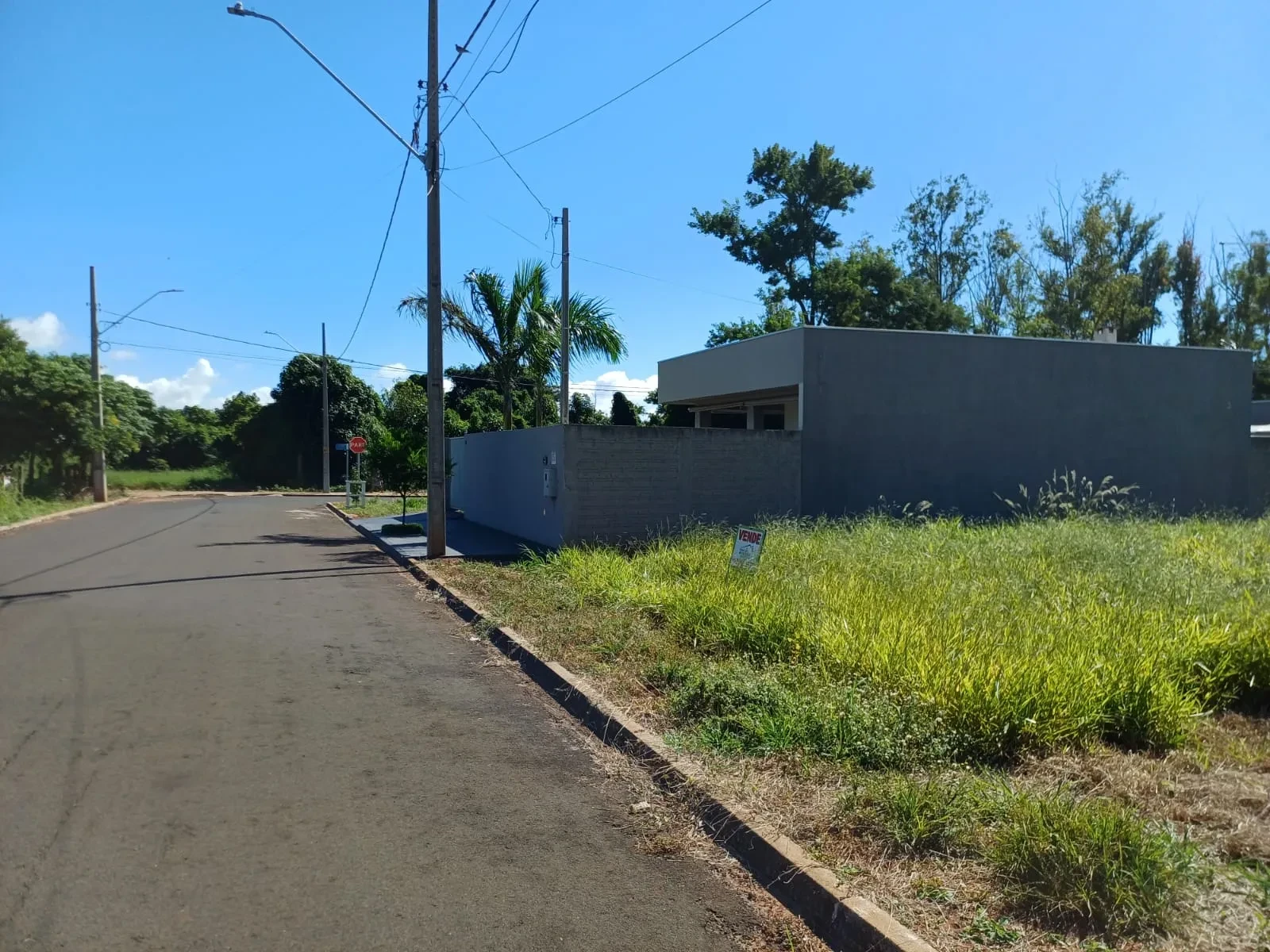 Imagem Terreno à Venda, 240 metros em Pitangueiras - Pitangueiras