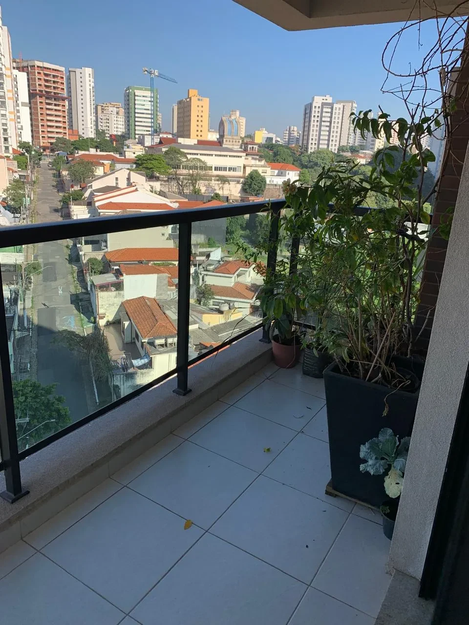 Imagem Apartamento com 3 Quartos à Venda, 110 m² em Chácara Inglesa - São Paulo