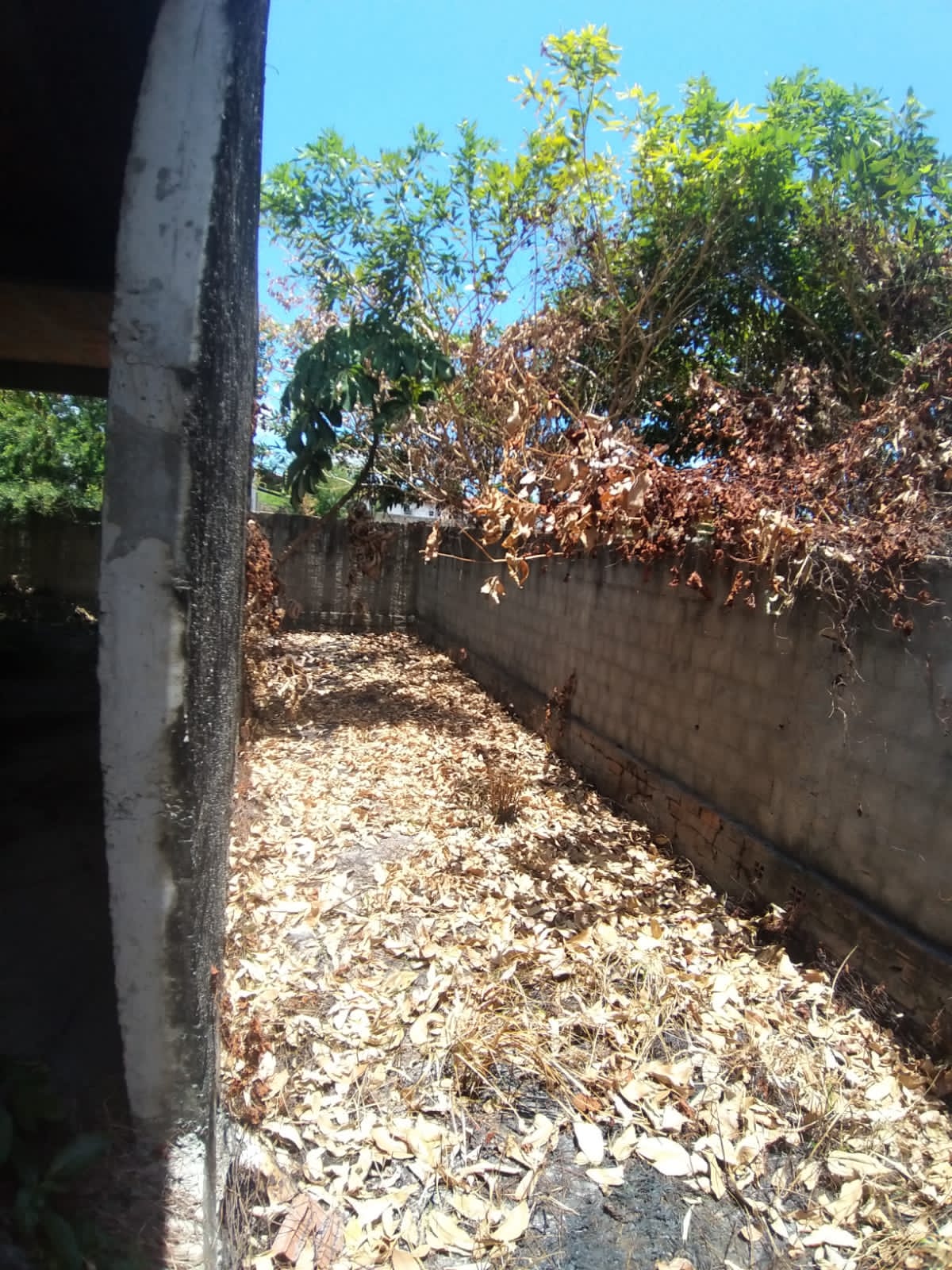 Imagem Terreno à Venda, 900 metro em Goiana - Goiana