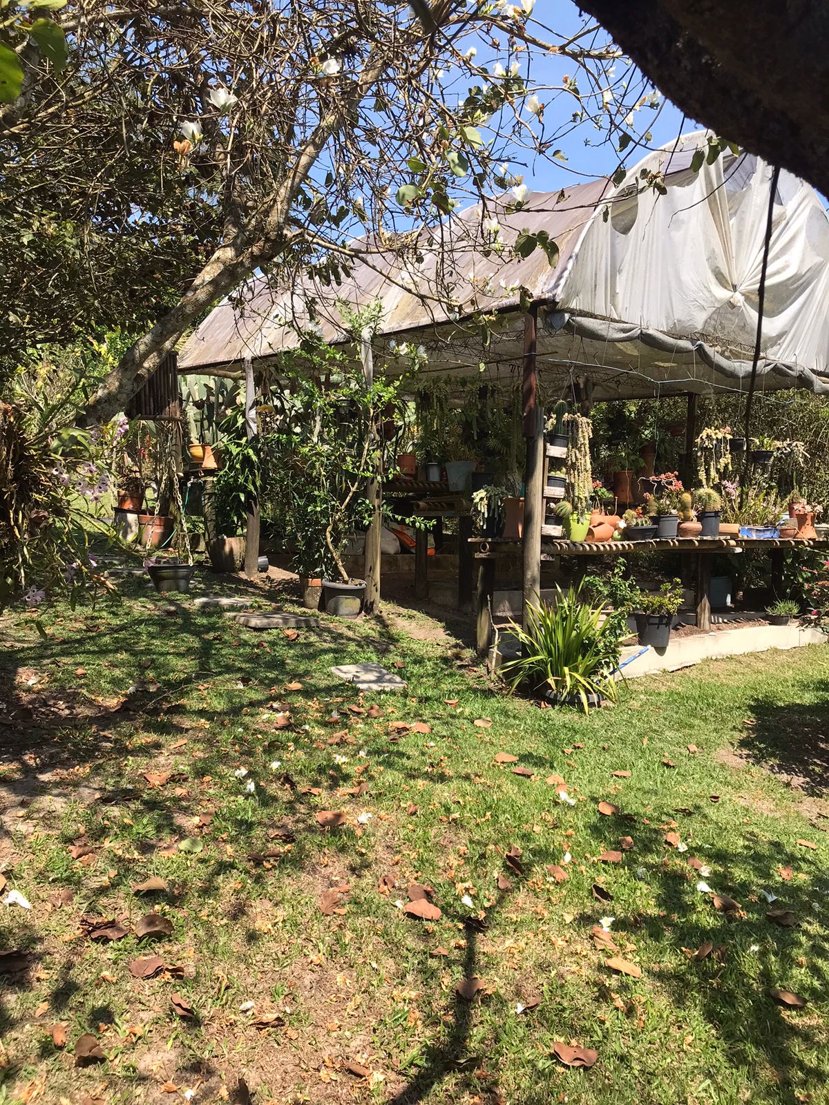Imagem Chácara com 2 Quartos à Venda, 12 m²em Biritiba Ussu - Mogi das Cruzes