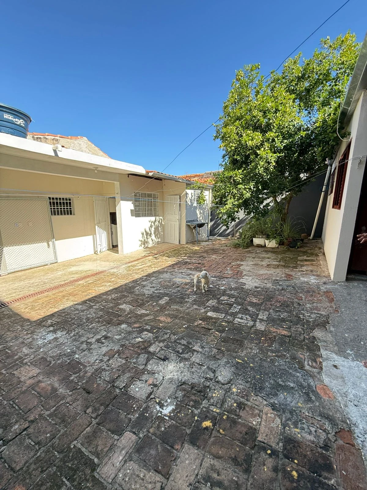 Imagem Casa com 2 Quartos à Venda, 300 m² em Vila Haro - Sorocaba