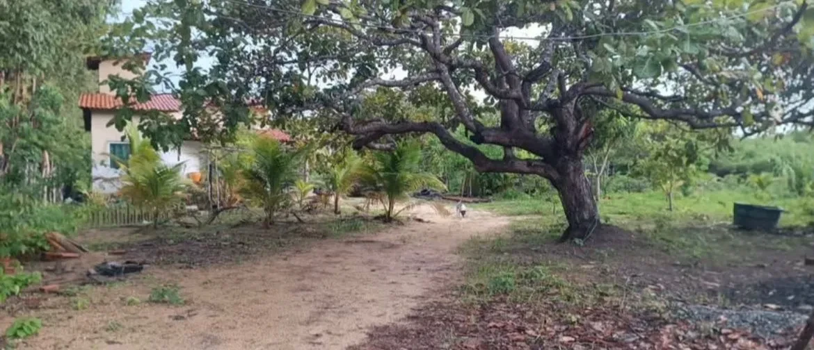 Imagem Chácara com 2 Quartos à Venda, 9200 m² em Camocim - Camocim