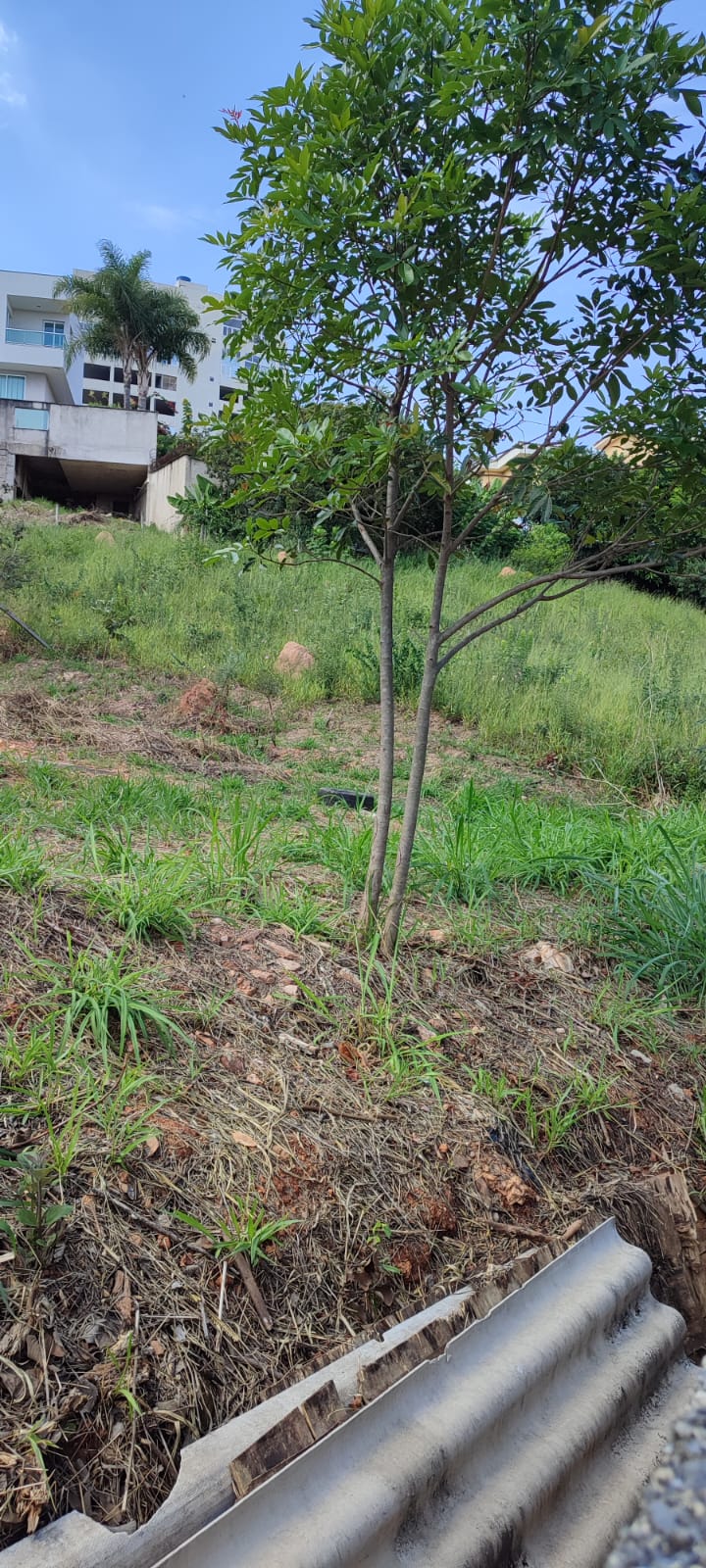 Imagem Terreno à Venda, 791 m²em Estoril - Belo Horizonte
