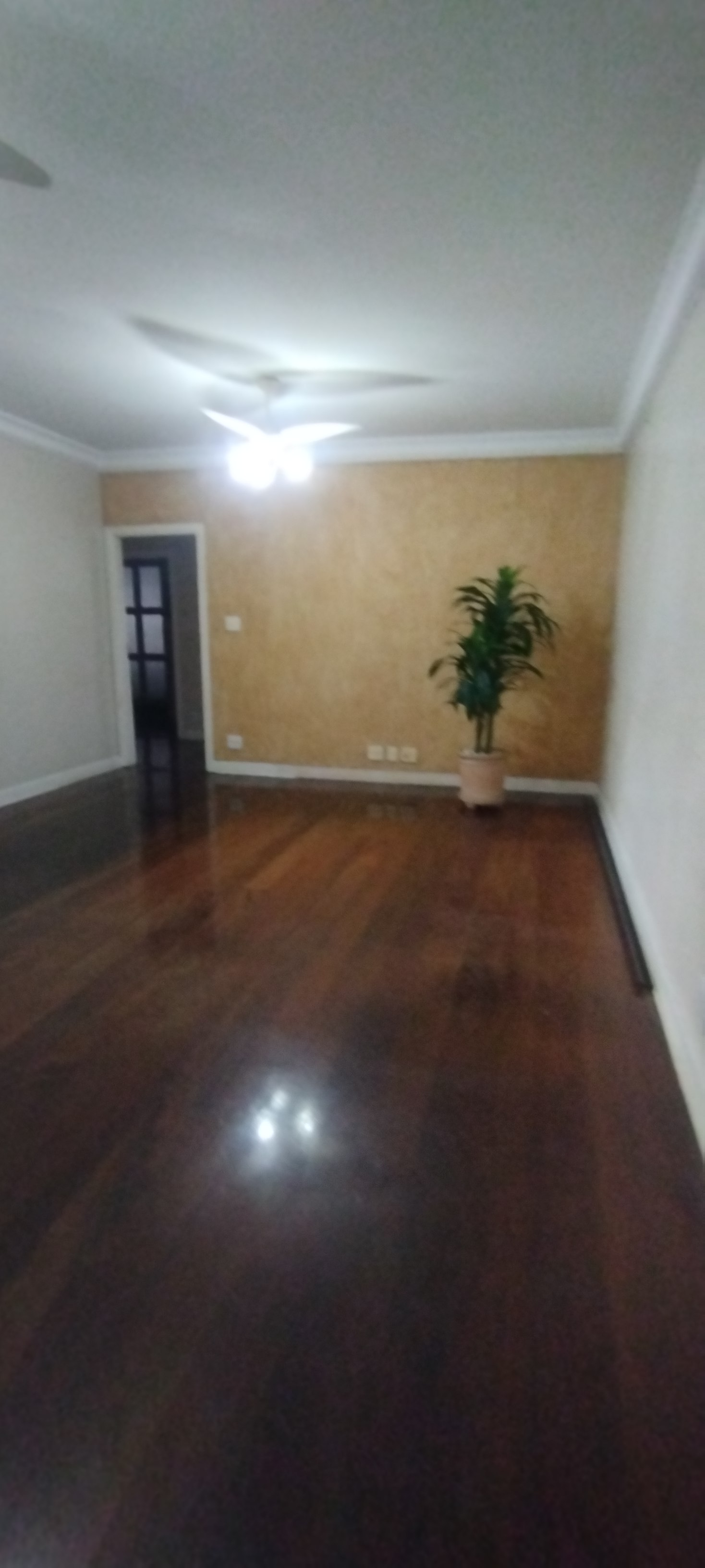 Imagem Apartamento com 3 Quartos à Venda, 150 m² em Gonzaga - Santos