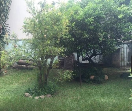 Imagem Casa com 4 Quartos à Venda, 298 m² em Lagoinha - Belo Horizonte