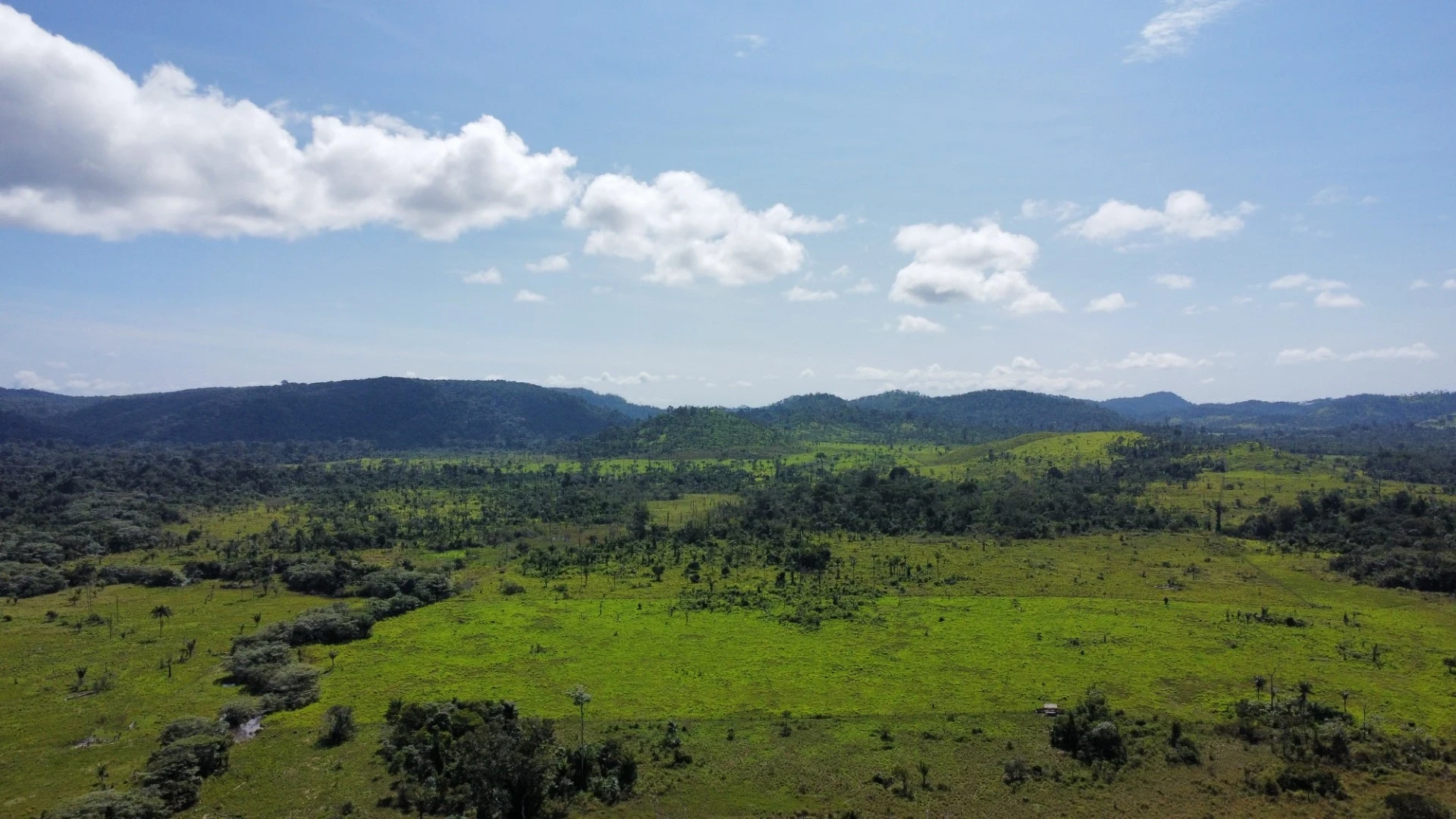 Foto do imóvel: Fazenda à Venda, 900 Alq. GO em São Félix do Xingu - São Félix do Xingu