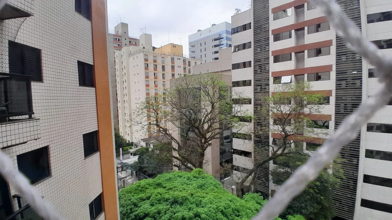 Imagem Apartamento com 3 Quartos à Venda, 76 m² em Vila Olímpia - São Paulo
