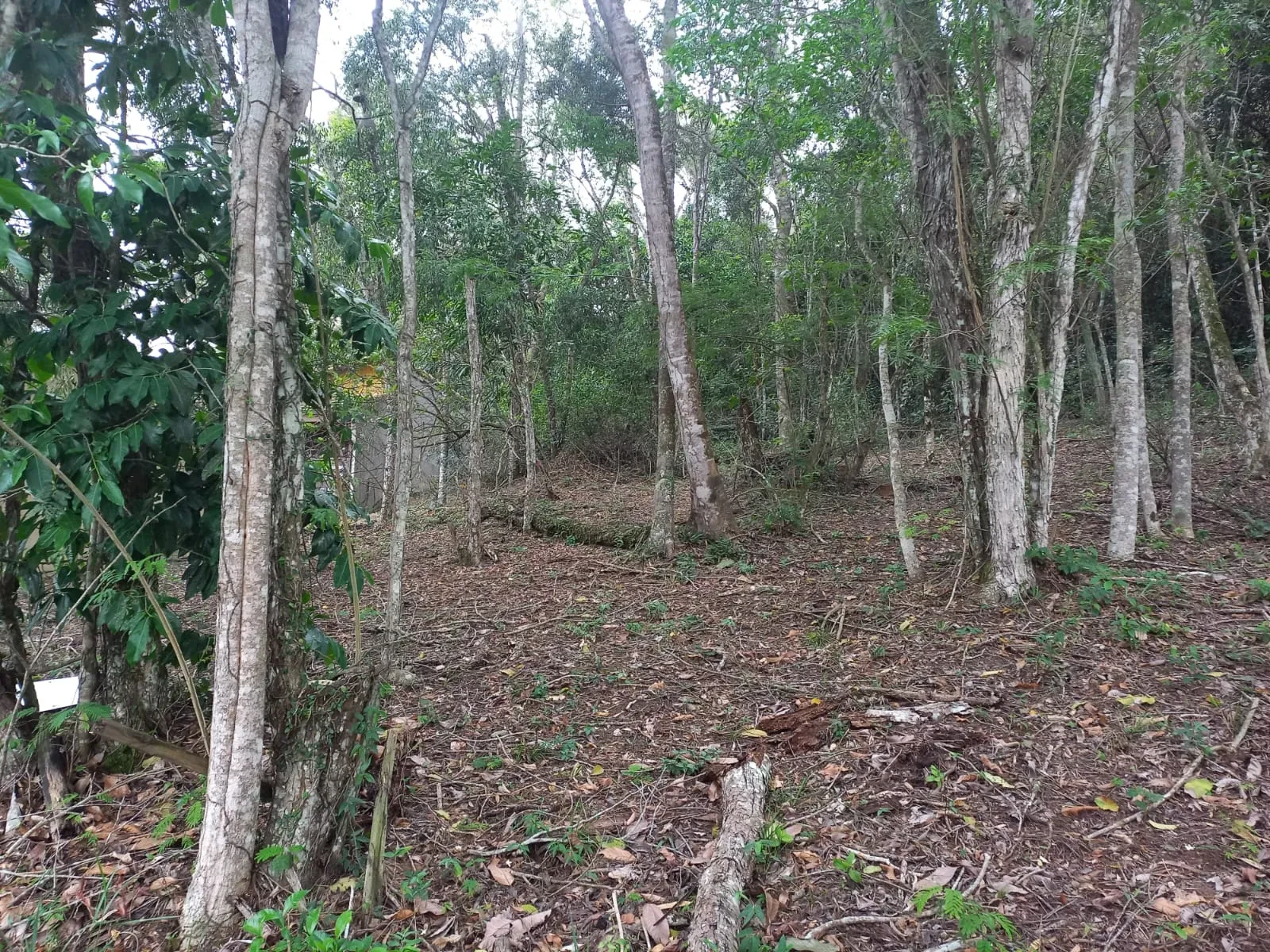 Imagem Terreno em Condomínio à Venda, 360 m² em Rio do Ouro - Niterói