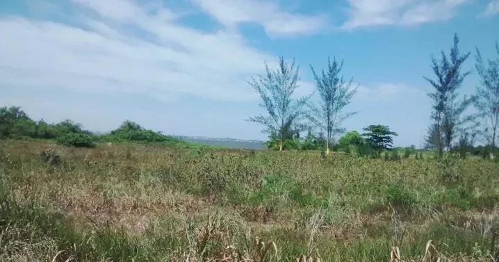 Imagem Terreno à Venda, 8510 metros em Balneário (Praia Seca) - Araruama