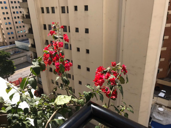 Imagem Apartamento com 1 Quarto à Venda, 44 m² em Indianópolis - São Paulo