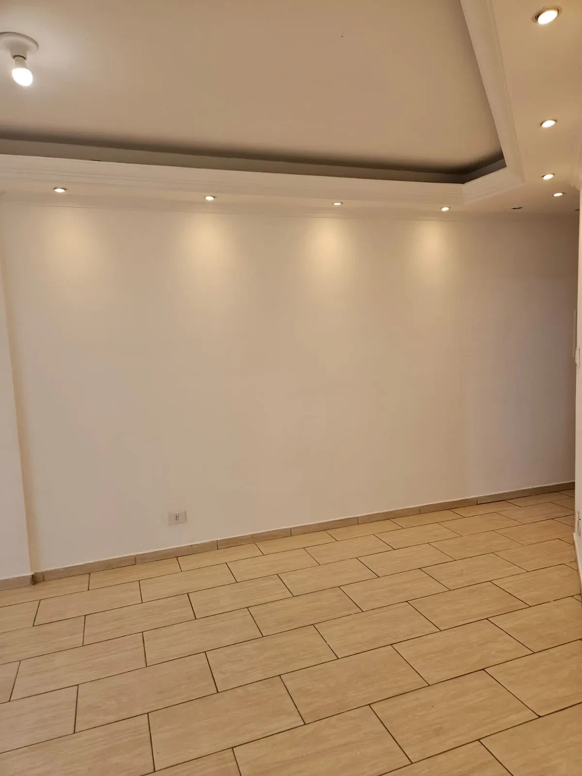 Imagem Apartamento com 3 Quartos para Alugar, 61 m² em Vila Santa Catarina - São Paulo