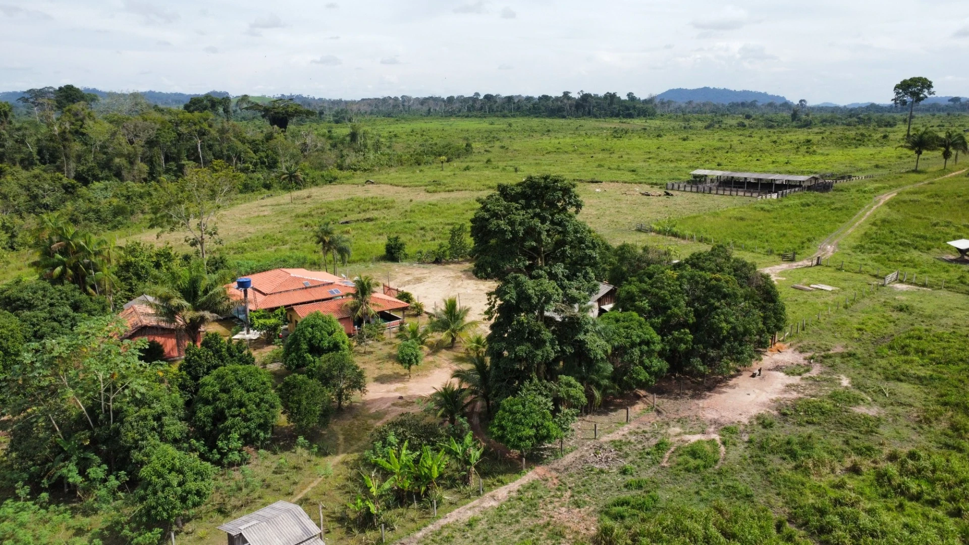 Foto do imóvel: Fazenda à Venda, 900 Alq. GO em São Félix do Xingu - São Félix do Xingu