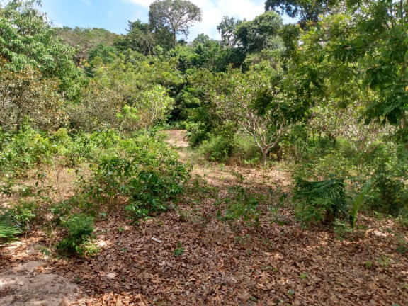 Imagem Terreno à Venda, 720 m² em São Brás - Santarém