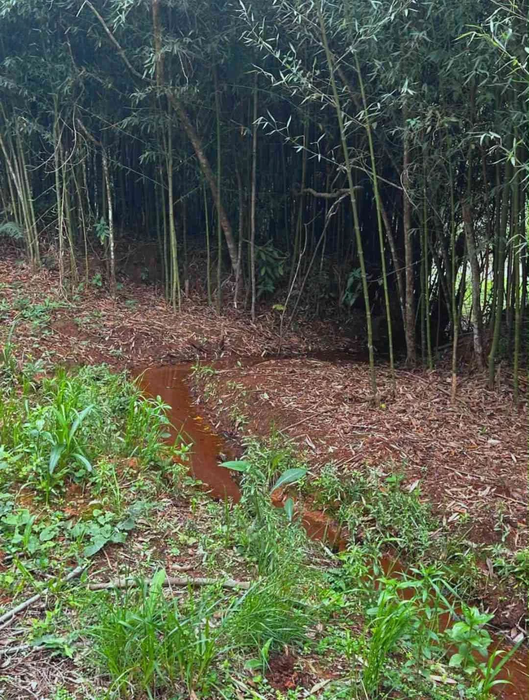 Imagem Chácara com 3 Quartos à Venda, 180 m² em Colinas - Poços de Caldas