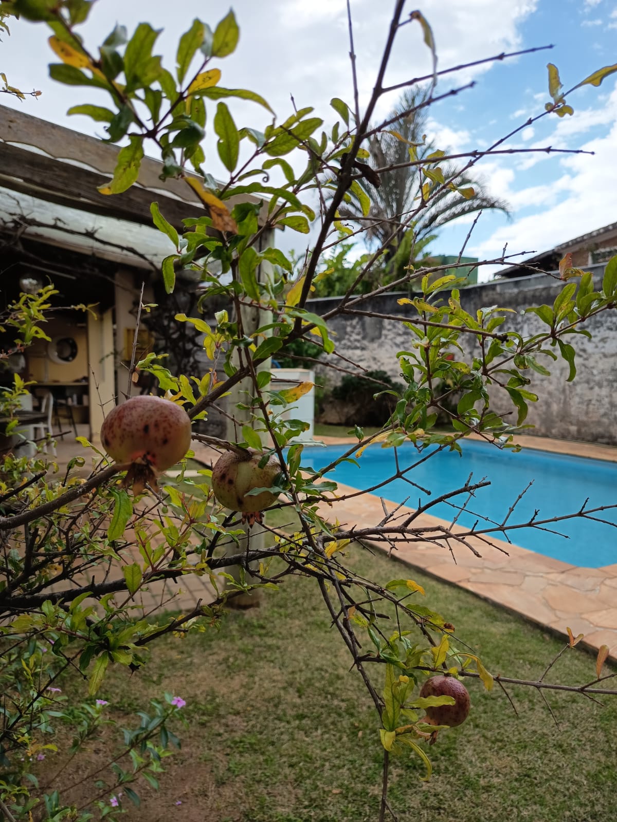 Imagem Casa com 3 Quartos à Venda, 144 m² em Vila Petrópolis - Atibaia