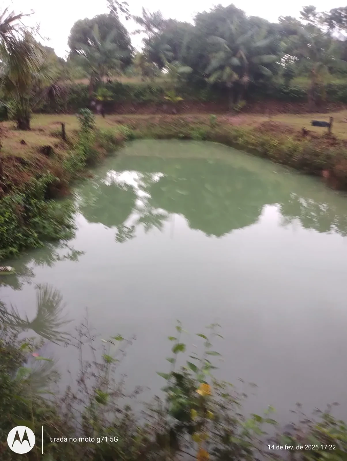 Imagem Fazenda à Venda, 46 HA em Acará - Acará