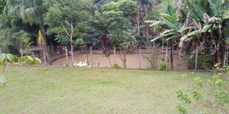 Imagem Chácara com 3 Quartos à Venda, 2.920 m² em Centro - Santa Isabel