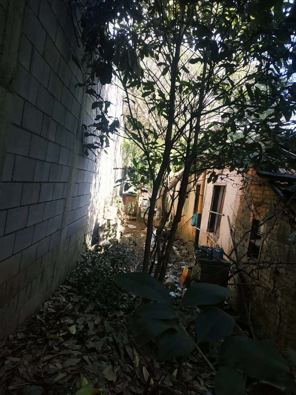 Imagem Terreno à Venda, 211 m² em Vila Matilde - São Paulo