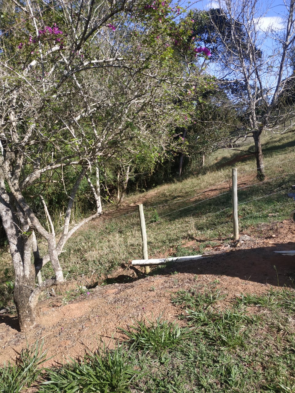 Imagem Imóvel com 4 Quartos à Venda, 200 m²em Canaã - Jambeiro