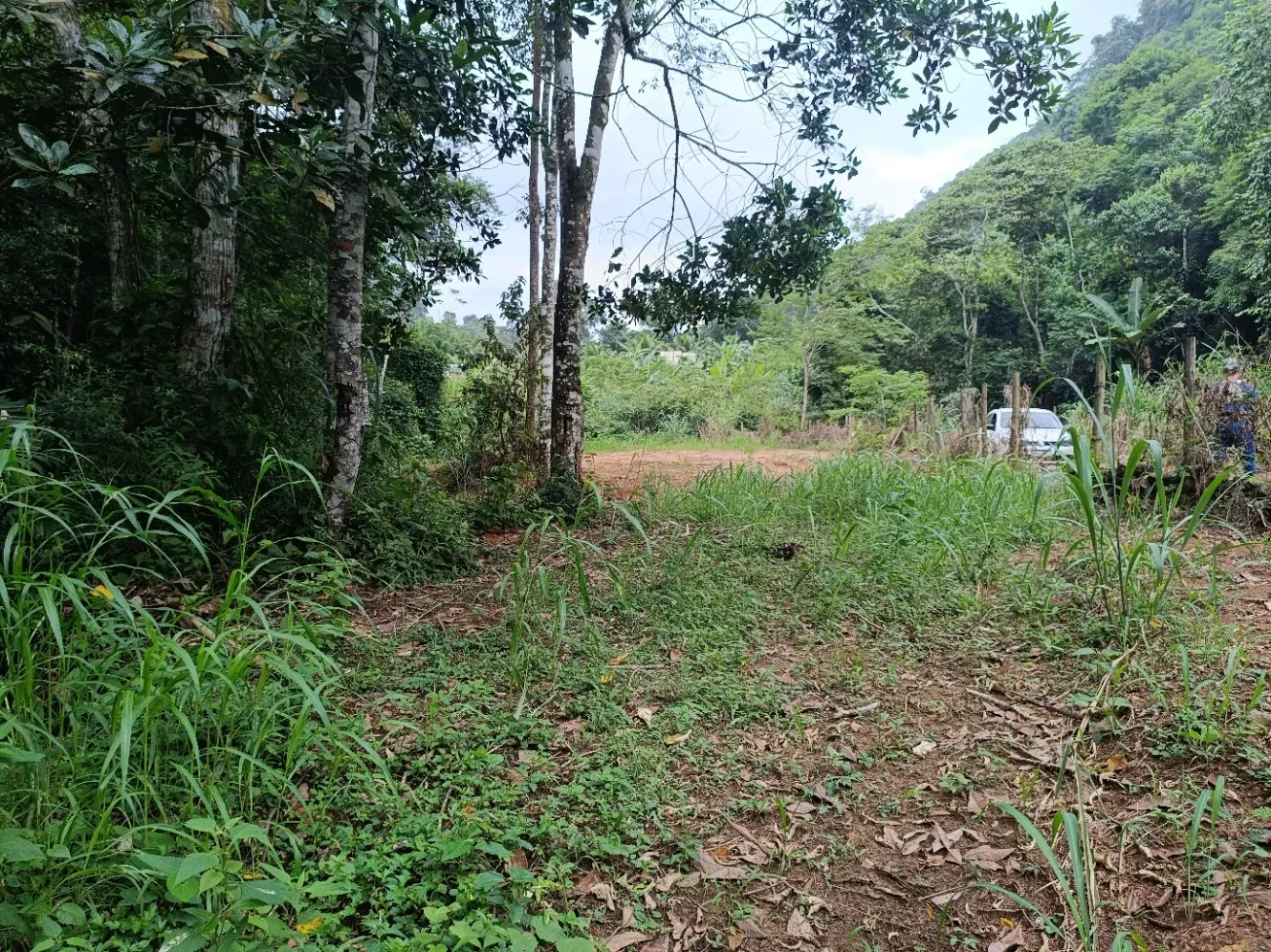Imagem Chácara à Venda, 20000 metros em Santa Leopoldina - Santa Leopoldina