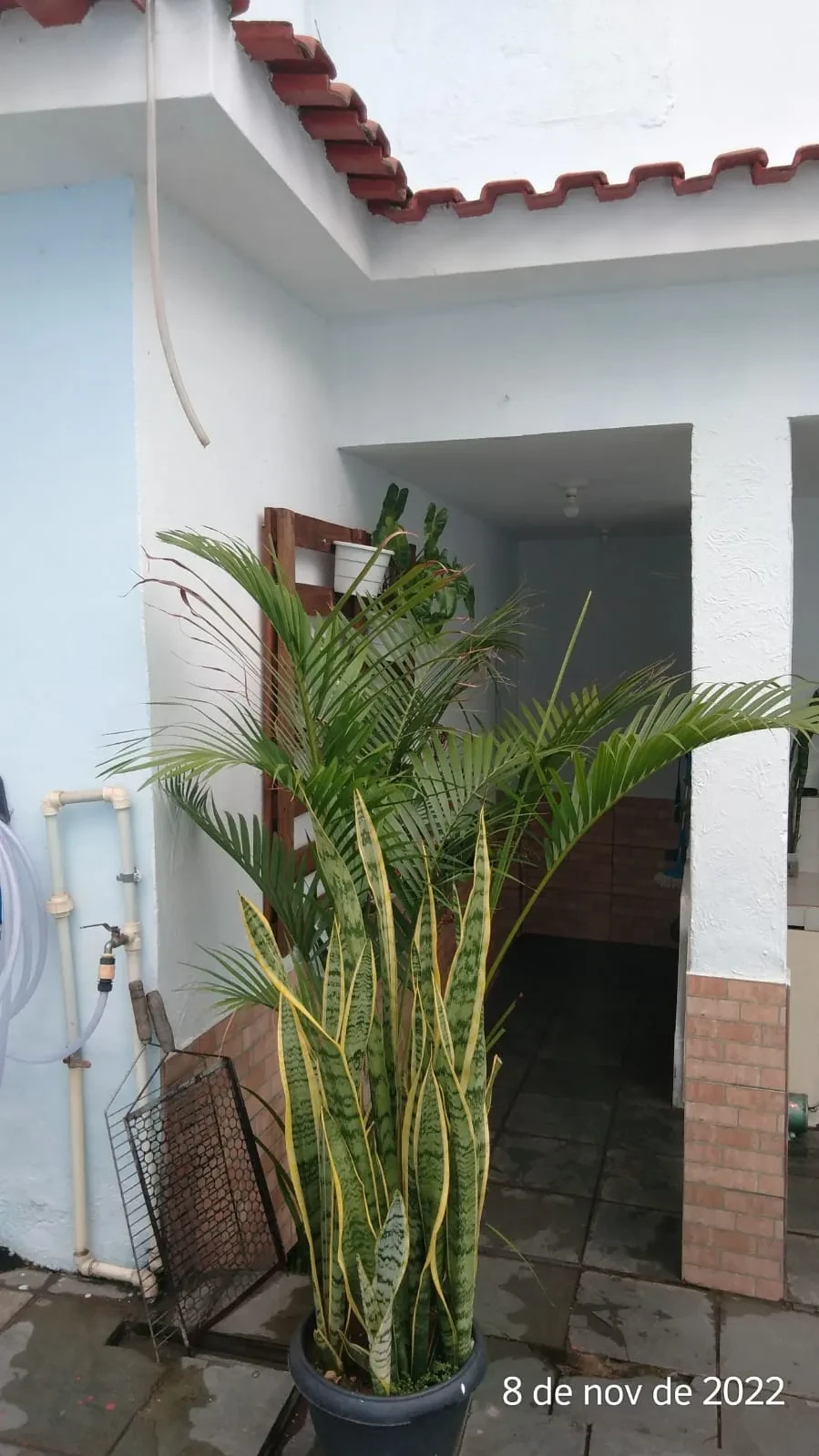 Imagem Casa com 4 Quartos à Venda, 300 m² em Piedade - Rio de Janeiro
