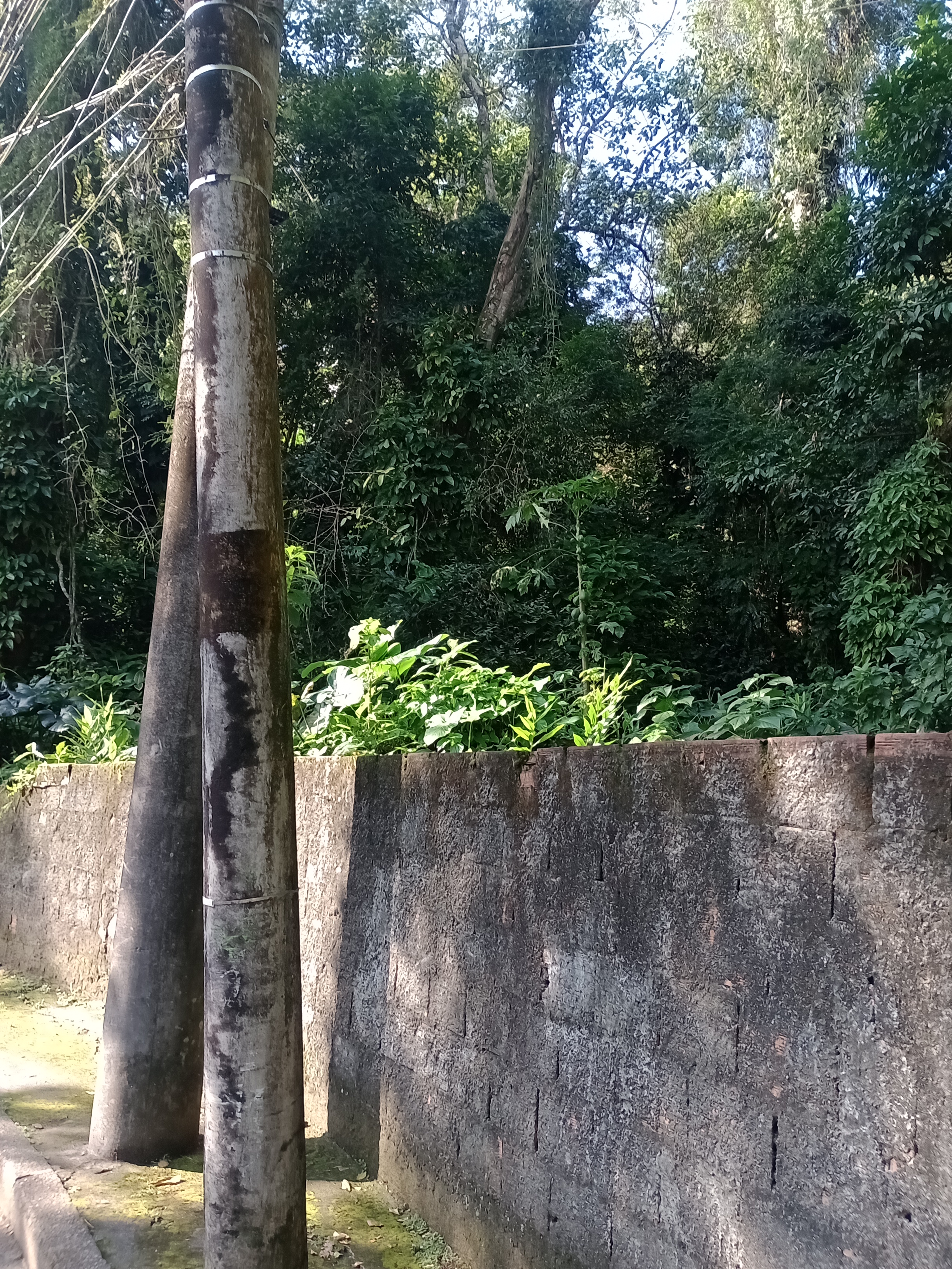 Imagem Terreno à Venda, 12.653 m² em Alto da Boa Vista - Rio de Janeiro