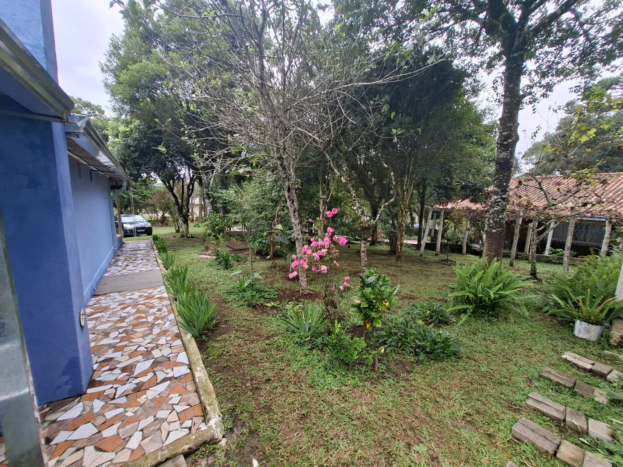 Imagem Chácara com 2 Quartos à Venda, 80 m² em Campo Alto - Tijucas do Sul