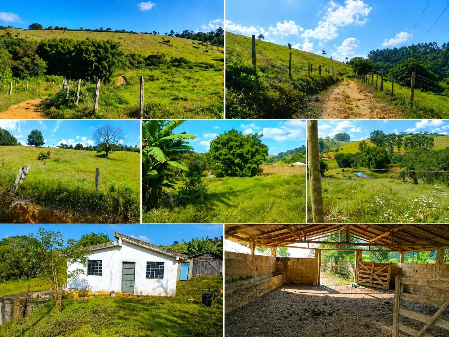 Imagem Fazenda à Venda, 5 Alq. MG em Bandeira do Sul - Bandeira do Sul
