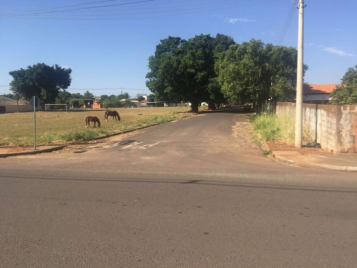Imagem Galpão à Venda, 600 m² em Parque Industrial - Araçatuba